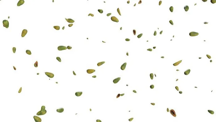 Framed Print : Papaya falling rain, isolated on transparent background Framed Print : Papaya falling rain, isolated on transparent background