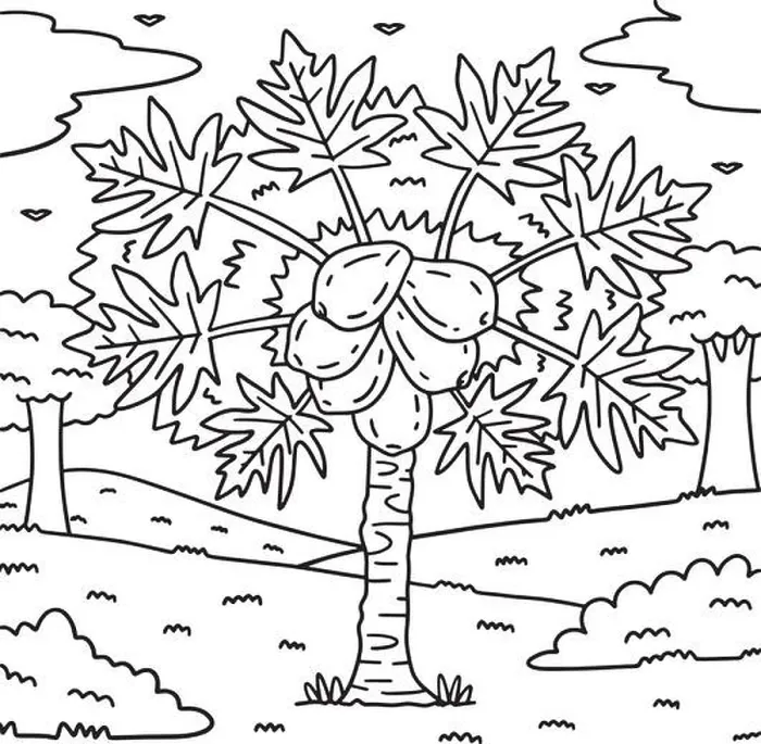 Framed Print : Papaya Tree Fruit Plant Coloring Page for Kids Framed Print : Papaya Tree Fruit Plant Coloring Page for Kids