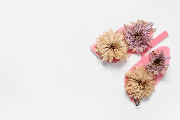Framed Print : Paper lungs with dried flowers on white background Framed Print : Paper lungs with dried flowers on white background