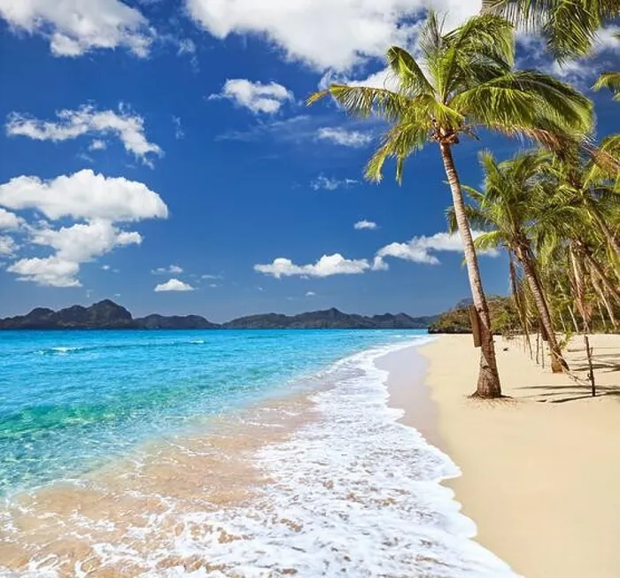 Framed Print : Paradise tropical beach with palm trees and clear sea Framed Print : Paradise tropical beach with palm trees and clear sea