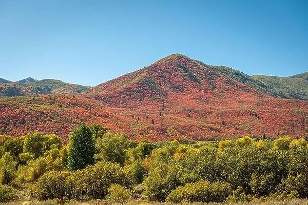 Park City, Utah, USA foliage along the Wasatch Back in autumn