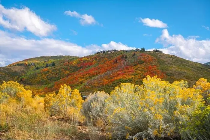 Framed Print : Park City, Utah, USA foliage along the Wasatch Back in autumn Framed Print : Park City, Utah, USA foliage along the Wasatch Back in autumn