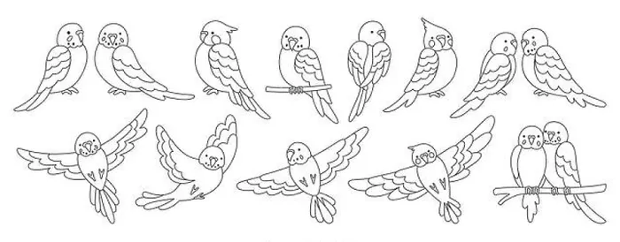Framed Print : Parrot tropical doodle linear set Framed Print : Parrot tropical doodle linear set