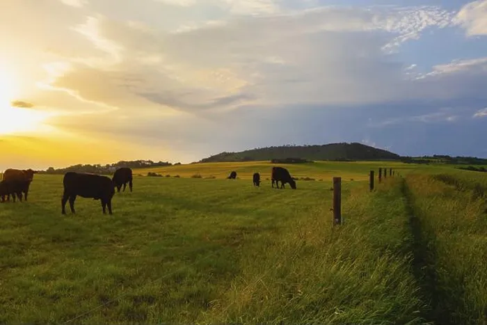 Framed Print : On the pasture in Central Bohemian Highlands