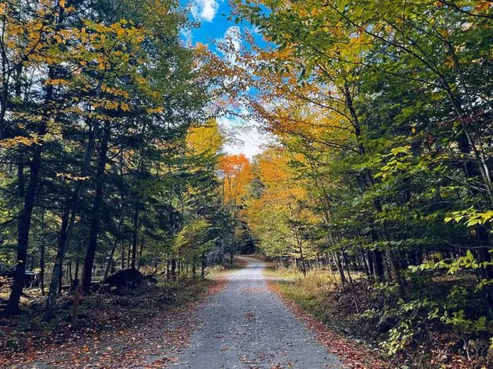 Framed Print : Path in the forest at fall - colorful trees and leaves - Yamaska Park, SEPAQ - Quebec, Canada Framed Print : Path in the forest at fall - colorful trees and leaves - Yamaska Park, SEPAQ - Quebec, Canada
