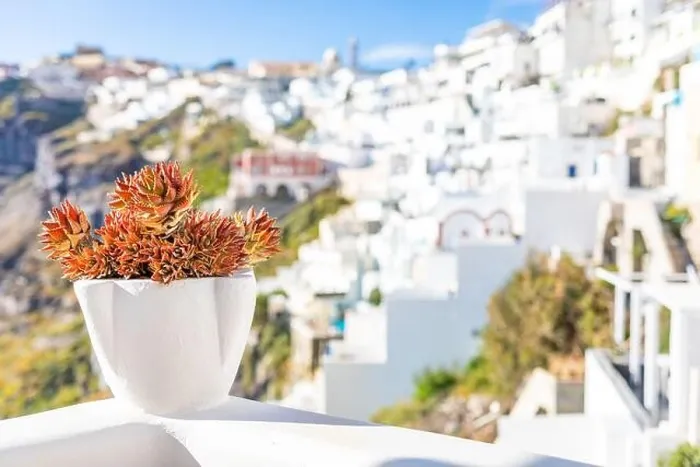 Framed Print : Peaceful view in Santorini, Greece with white architecture and flowers, cruise ships, Mediterranean summer mood, vacation and travel background Framed Print : Peaceful view in Santorini, Greece with white architecture and flowers, cruise ships, Mediterranean summer mood, vacation and travel background