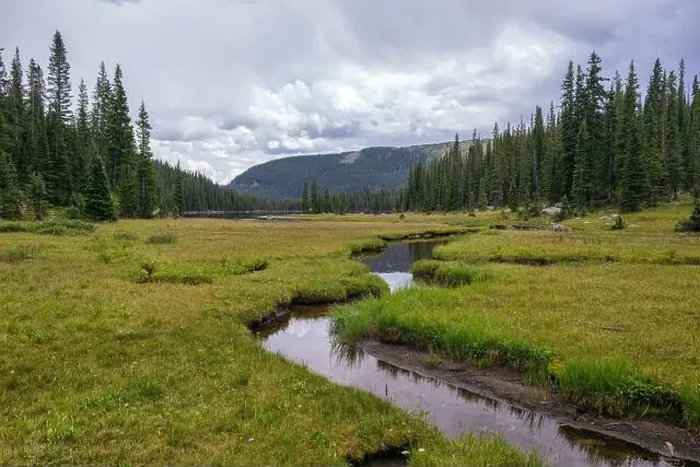Framed Print : Peaceful wild scenery with stream and lush meadow Framed Print : Peaceful wild scenery with stream and lush meadow