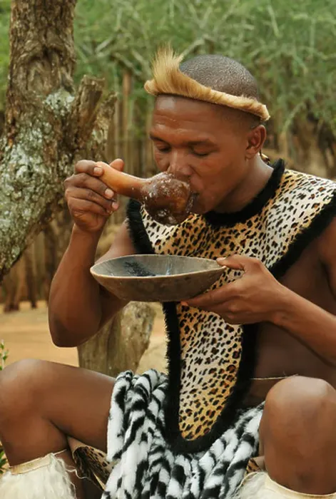 Framed Print : People, adult Zulu man drinking traditional African beer from gourd Framed Print : People, adult Zulu man drinking traditional African beer from gourd