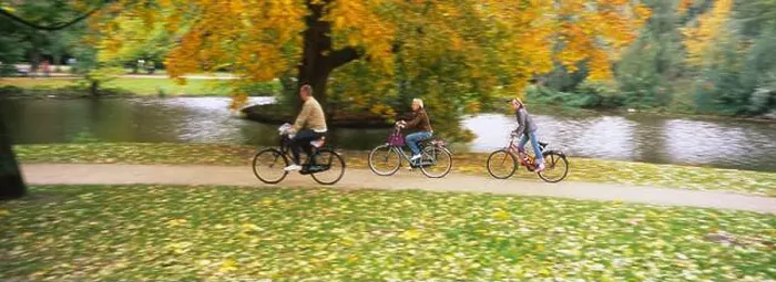 Framed Print : People riding bicycles in a park, Vondelpark, Amsterdam, Netherlands