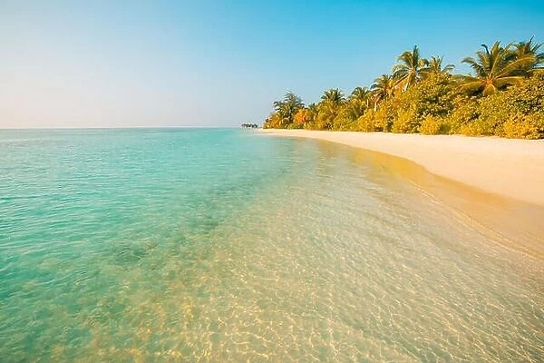Perfect beach view. Summer holiday and vacation design. Inspirational tropical beach, palm trees and white sand. Tranquil scenery, relaxing beach