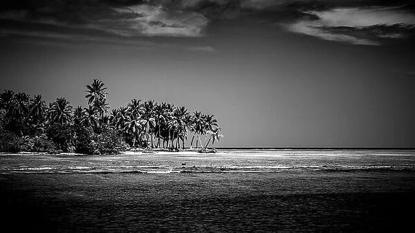 Perfect black and white beach scene. Sunset, sunrise silhouette of coconut palm tree with sun loungers and umbrella. Abstract, artistic summer mood
