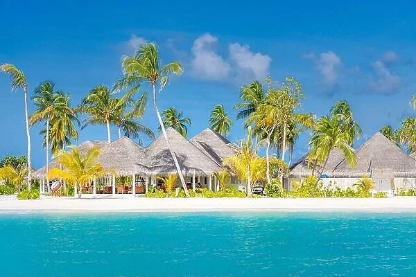 Perfect island beach with water villas, luxury bungalows under palm trees, close to blue sea. Amazing travel destination, relax beach resort landscape