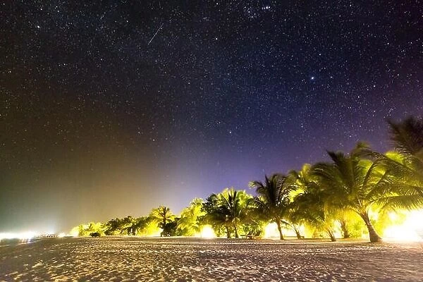 Perfect night sky in Maldives. Stars and palm tree on sandy beach