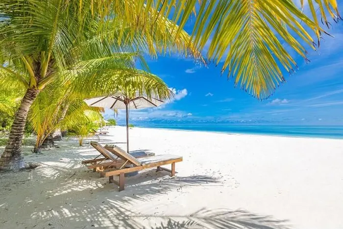 Framed Print : Perfect sunny beach. Idyllic tropical beach landscape for background. Couple honeymoon, romantic destination, freedom lounge chairs umbrella palm sand Framed Print : Perfect sunny beach. Idyllic tropical beach landscape for background. Couple honeymoon, romantic destination, freedom lounge chairs umbrella palm sand