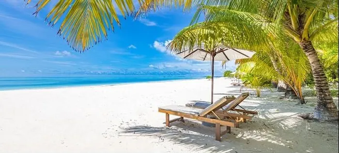 Framed Print : Perfect sunny beach. Idyllic tropical beach landscape for background. Couple honeymoon, romantic destination, freedom lounge chairs umbrella palm sand Framed Print : Perfect sunny beach. Idyllic tropical beach landscape for background. Couple honeymoon, romantic destination, freedom lounge chairs umbrella palm sand
