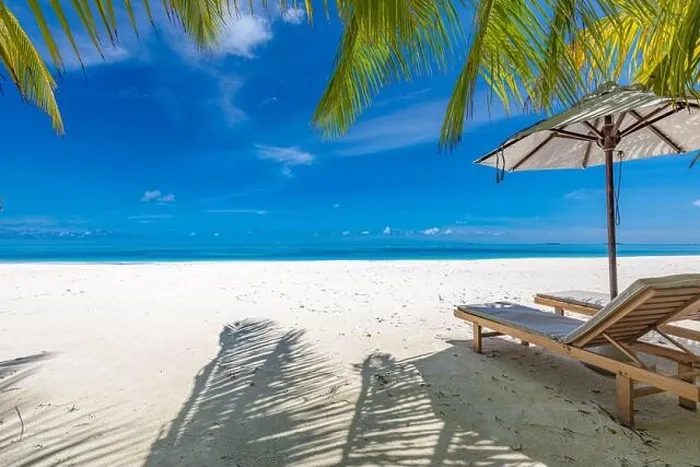 Framed Print : Perfect sunny beach. Idyllic tropical beach landscape for background. Couple honeymoon, romantic destination, freedom lounge chairs umbrella palm sand Framed Print : Perfect sunny beach. Idyllic tropical beach landscape for background. Couple honeymoon, romantic destination, freedom lounge chairs umbrella palm sand