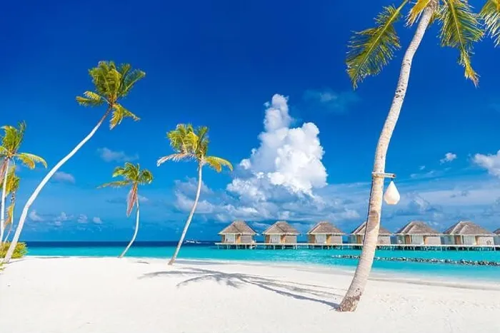 Framed Print : Perfect tropical beach landscape. Beautiful beach with palm trees and moody sky. Summer vacation travel holiday, water villas, luxury destination