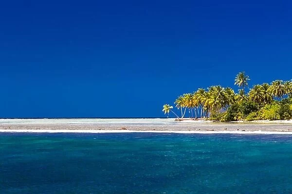 Perfect tropical beach in Maldives with few palm trees and blue lagoon