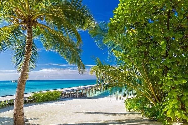 Perfect tropical beach and tranquil landscape, palm trees and soft white sand