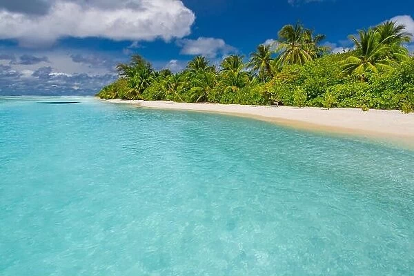 Perfect tropical landscape. Palm trees and blue sea view. Fantastic tropical nature concept