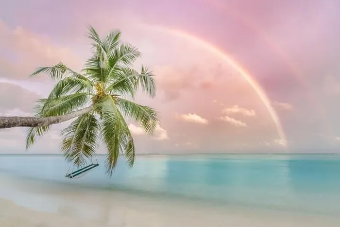 Framed Print : Perfect tropical landscape, sunset beach with palm tree and swing hanging under colorful rainbow. Romantic beach landscape Framed Print : Perfect tropical landscape, sunset beach with palm tree and swing hanging under colorful rainbow. Romantic beach landscape