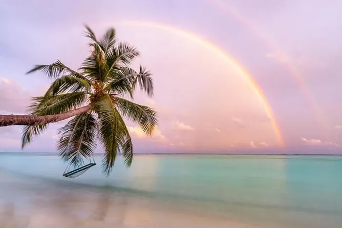 Framed Print : Perfect tropical landscape, sunset beach with palm tree and swing hanging under colorful rainbow. Romantic beach landscape Framed Print : Perfect tropical landscape, sunset beach with palm tree and swing hanging under colorful rainbow. Romantic beach landscape