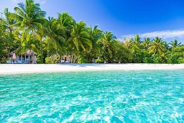 Perfect tropical landscape. White sand blue sky and palm trees
