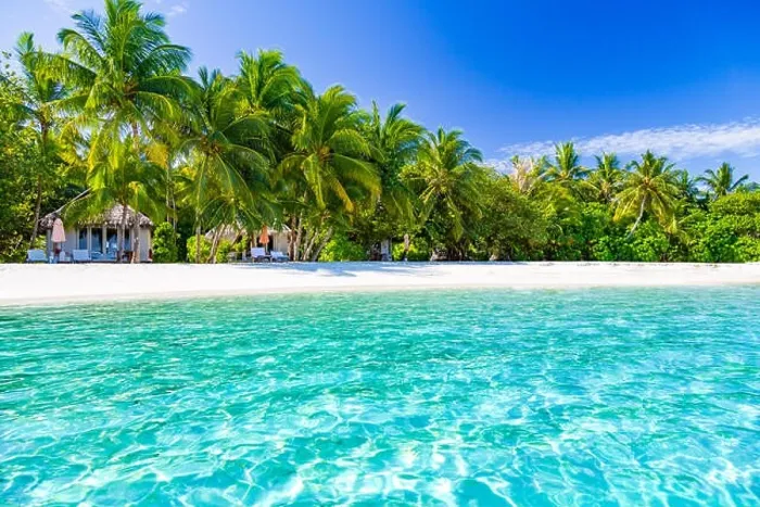 Framed Print : Perfect tropical landscape. White sand blue sky and palm trees Framed Print : Perfect tropical landscape. White sand blue sky and palm trees