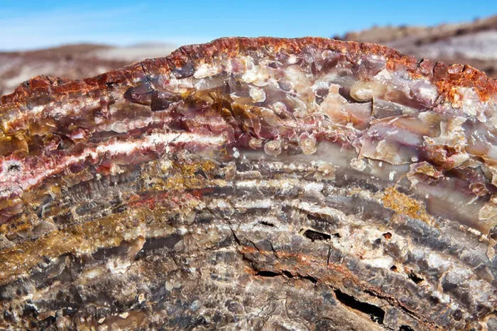 Framed Print : Petrified Forest National Park Framed Print : Petrified Forest National Park