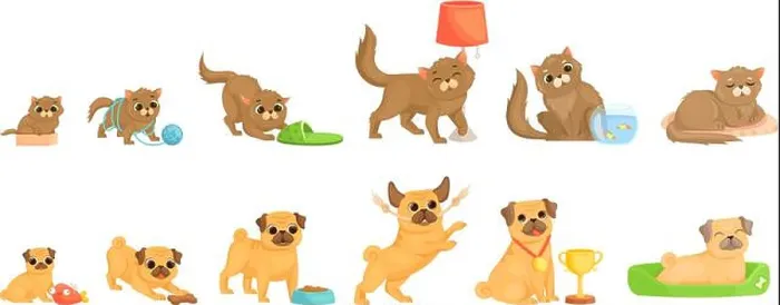 Framed Print : Pets growth stages. Little cat and dog characters Framed Print : Pets growth stages. Little cat and dog characters