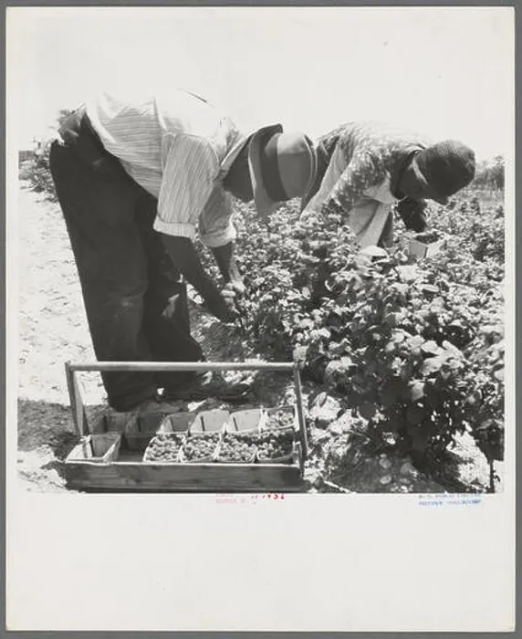 Framed Print : phot from the great depression in america around the 1930s Framed Print : phot from the great depression in america around the 1930s