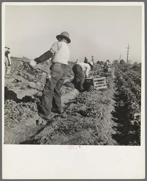 Framed Print : phot from the great depression in america around the 1930s Framed Print : phot from the great depression in america around the 1930s