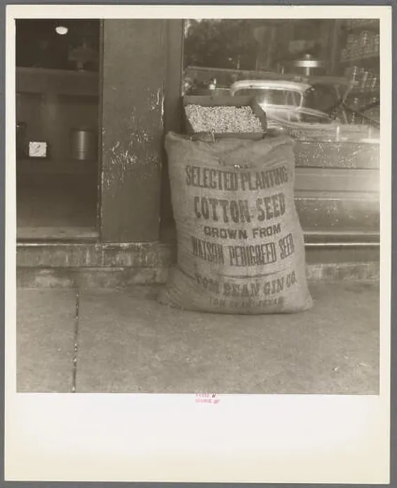 Framed Print : phot from the great depression in america around the 1930s Framed Print : phot from the great depression in america around the 1930s