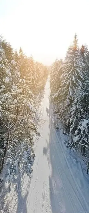 Framed Print : photo from a flying drone, a small planet and a winter landscape, pines and spruces are covered with snow Framed Print : photo from a flying drone, a small planet and a winter landscape, pines and spruces are covered with snow