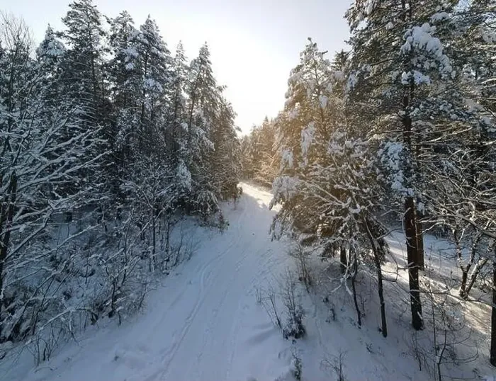 Framed Print : photo from a flying drone, a small planet and a winter landscape, pines and spruces are covered with snow Framed Print : photo from a flying drone, a small planet and a winter landscape, pines and spruces are covered with snow