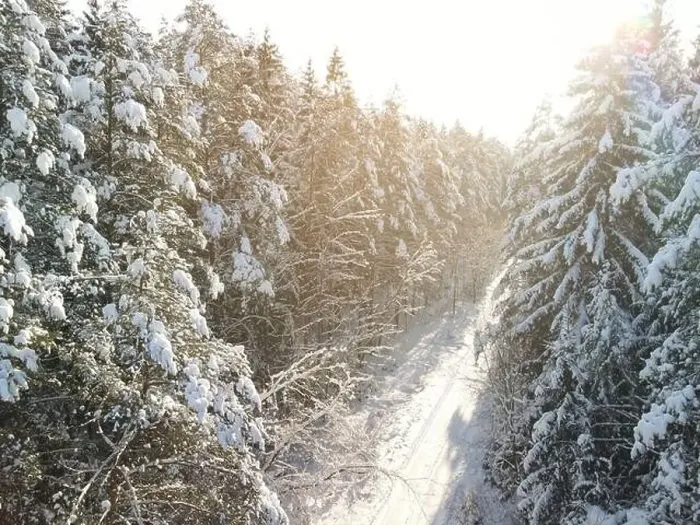 Framed Print : photo from a flying drone, a small planet and a winter landscape, pines and spruces are covered with snow Framed Print : photo from a flying drone, a small planet and a winter landscape, pines and spruces are covered with snow