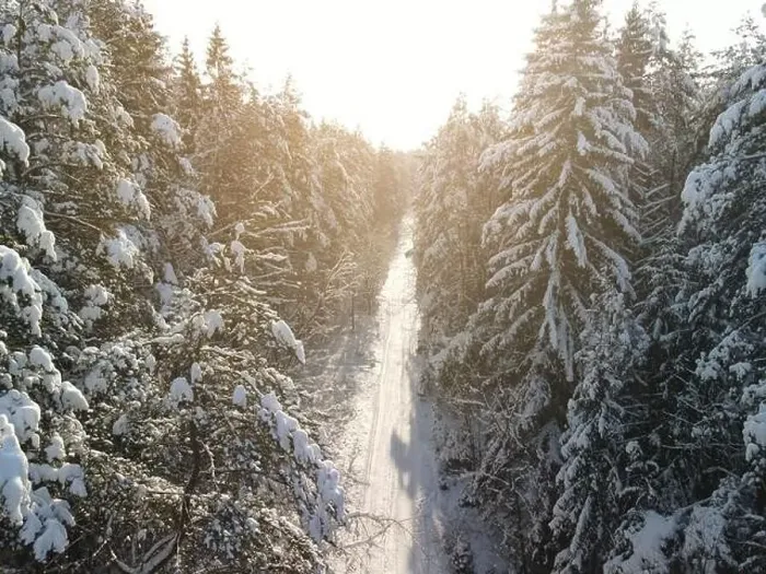 Framed Print : photo from a flying drone, a small planet and a winter landscape, pines and spruces are covered with snow Framed Print : photo from a flying drone, a small planet and a winter landscape, pines and spruces are covered with snow