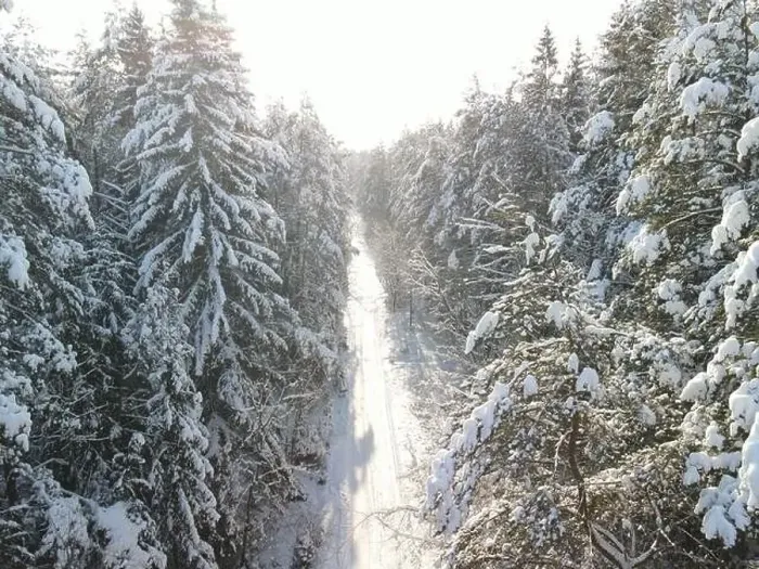 Framed Print : photo from a flying drone, a small planet and a winter landscape, pines and spruces are covered with snow Framed Print : photo from a flying drone, a small planet and a winter landscape, pines and spruces are covered with snow