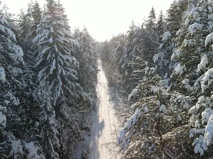 Framed Print : photo from a flying drone, a small planet and a winter landscape, pines and spruces are covered with snow Framed Print : photo from a flying drone, a small planet and a winter landscape, pines and spruces are covered with snow