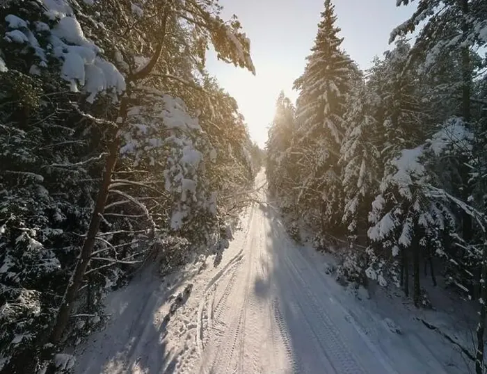 Framed Print : photo from a flying drone, a small planet and a winter landscape, pines and spruces are covered with snow Framed Print : photo from a flying drone, a small planet and a winter landscape, pines and spruces are covered with snow