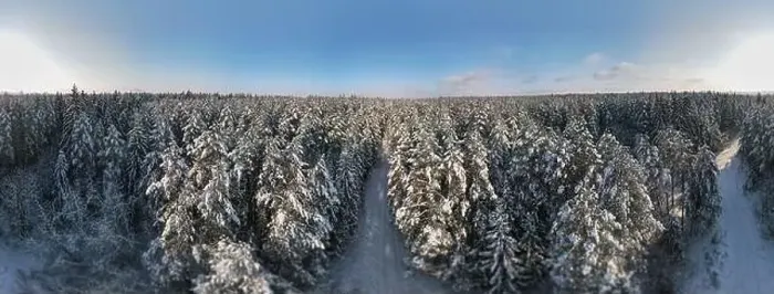 Framed Print : photo from a flying drone, a small planet and a winter landscape, pines and spruces are covered with snow Framed Print : photo from a flying drone, a small planet and a winter landscape, pines and spruces are covered with snow