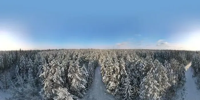 Framed Print : photo from a flying drone, a small planet and a winter landscape, pines and spruces are covered with snow Framed Print : photo from a flying drone, a small planet and a winter landscape, pines and spruces are covered with snow