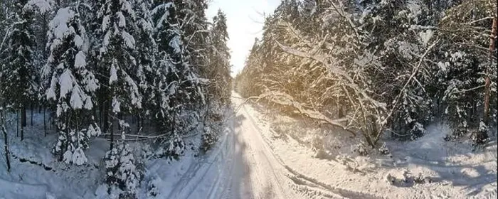 Framed Print : photo from a flying drone, a small planet and a winter landscape, pines and spruces are covered with snow Framed Print : photo from a flying drone, a small planet and a winter landscape, pines and spruces are covered with snow