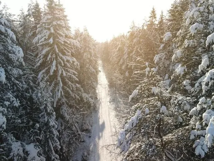 Framed Print : photo from a flying drone, a small planet and a winter landscape, pines and spruces are covered with snow Framed Print : photo from a flying drone, a small planet and a winter landscape, pines and spruces are covered with snow