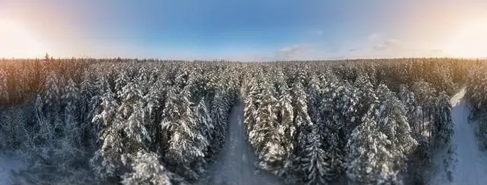Framed Print : photo from a flying drone, a small planet and a winter landscape, pines and spruces are covered with snow Framed Print : photo from a flying drone, a small planet and a winter landscape, pines and spruces are covered with snow