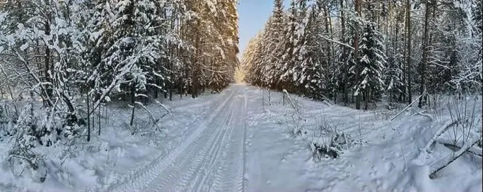 Framed Print : photo from a flying drone, a small planet and a winter landscape, pines and spruces are covered with snow Framed Print : photo from a flying drone, a small planet and a winter landscape, pines and spruces are covered with snow