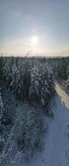Framed Print : photo from a flying drone, a small planet and a winter landscape, pines and spruces are covered with snow Framed Print : photo from a flying drone, a small planet and a winter landscape, pines and spruces are covered with snow