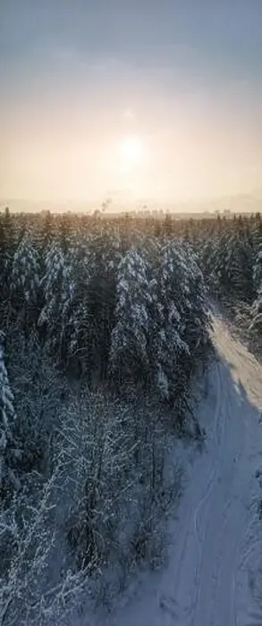 Framed Print : photo from a flying drone, a small planet and a winter landscape, pines and spruces are covered with snow Framed Print : photo from a flying drone, a small planet and a winter landscape, pines and spruces are covered with snow