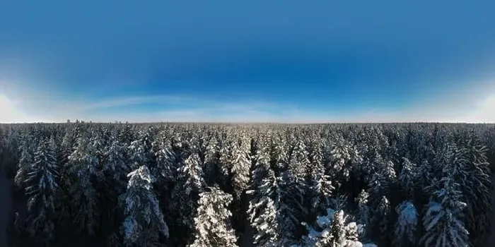Framed Print : photo from a flying drone, a small planet and a winter landscape, pines and spruces are covered with snow Framed Print : photo from a flying drone, a small planet and a winter landscape, pines and spruces are covered with snow