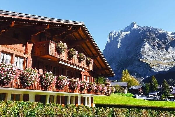 Picturesque autumn landscape with wooden house with flowers and mountains on background in Grindelwald village in Swiss Alps
